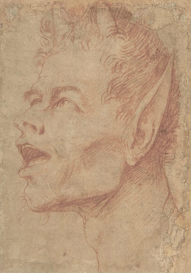 Head of a Satyr Facing Left Drawing by Jusepe de Ribera
