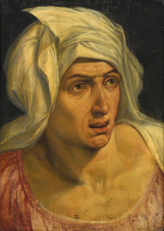 Head of a Woman Painting by Attributed to Frans Floris