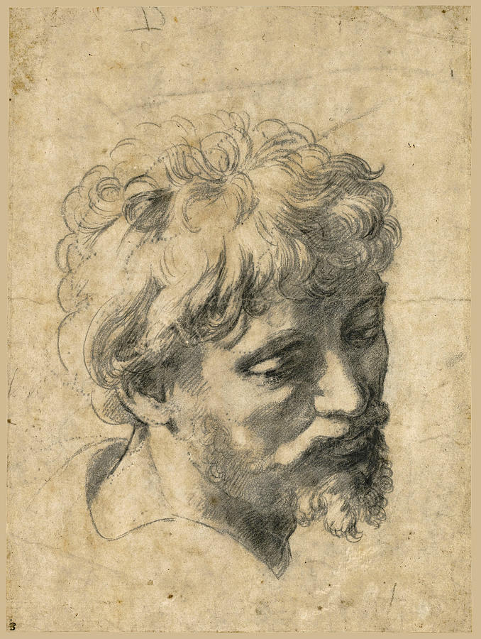 Head of a Young Apostle Drawing by Raphael