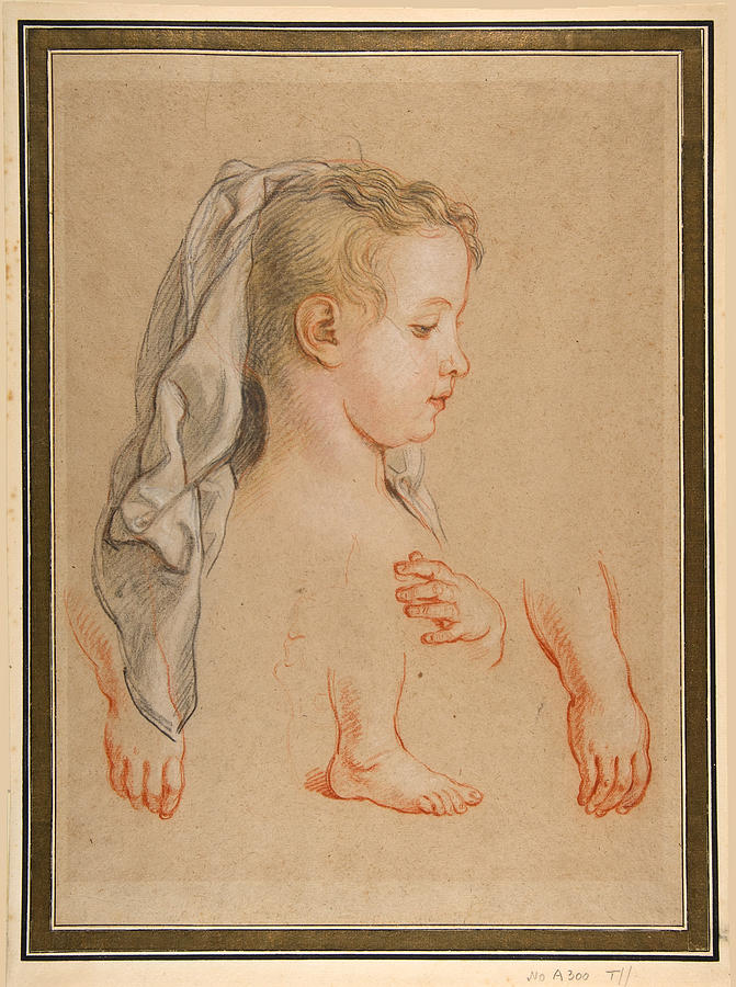 Head of a Young Girl and Studies of Hands and of her Right Foot Drawing by Charles De La Fosse