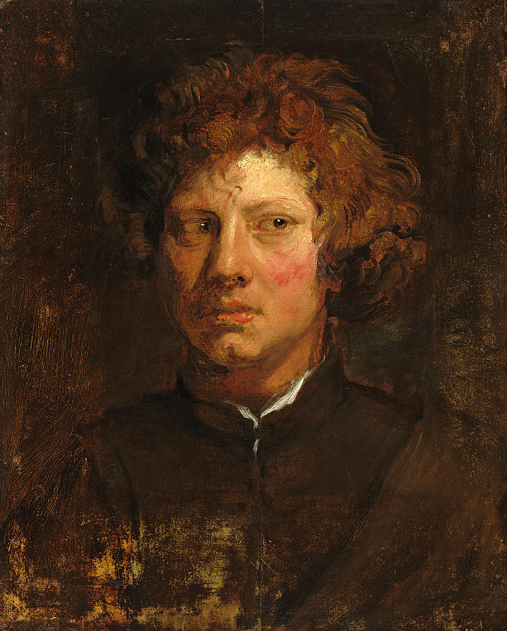 Head of a Young Man Painting by Anthony van Dyck