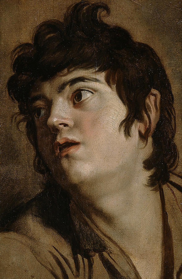 Head of a Young Man Painting by Peter Paul Rubens