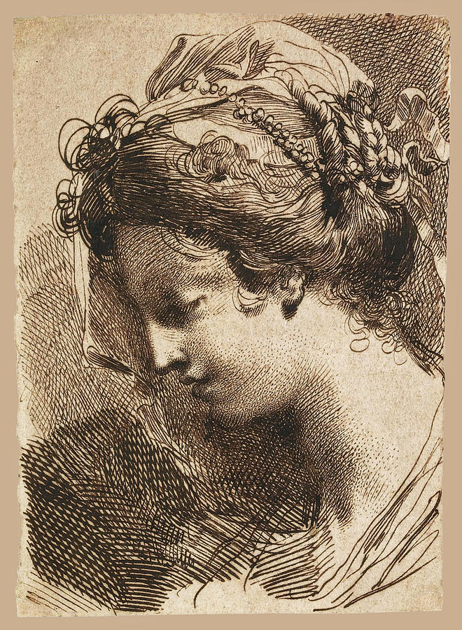 Head of a Young Woman Drawing by Gaetano Gandolfi