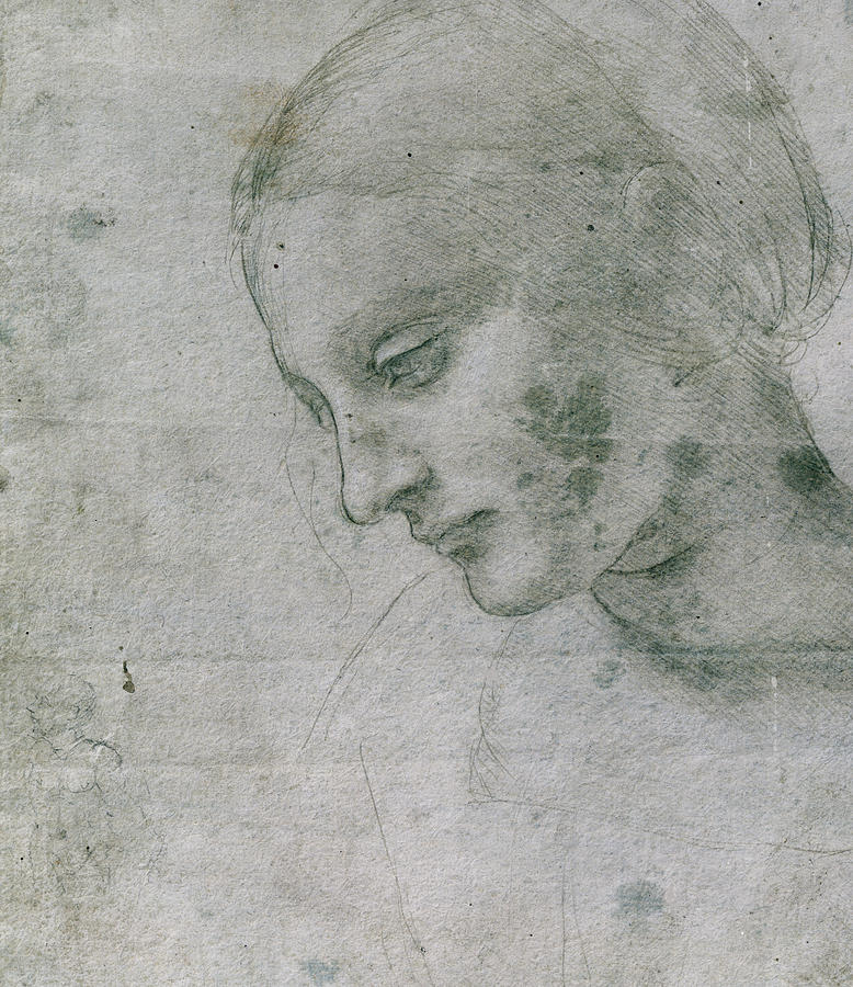 Madonna Drawing - Head of a Young Woman or Head of the Virgin by Leonardo da Vinci