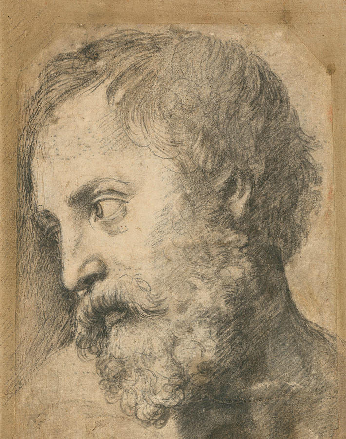 Head of An Apostle in the Transfiguration Drawing by Raphael
