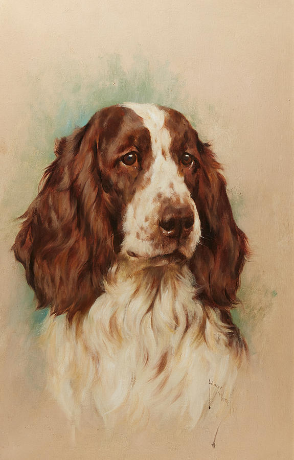 Jaws Painting - Head of an English Springer Spaniel by Arthur Wardle