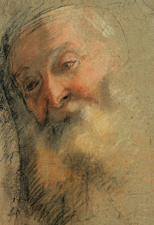 Head of an Old Bearded Man Drawing by Federico Barocci