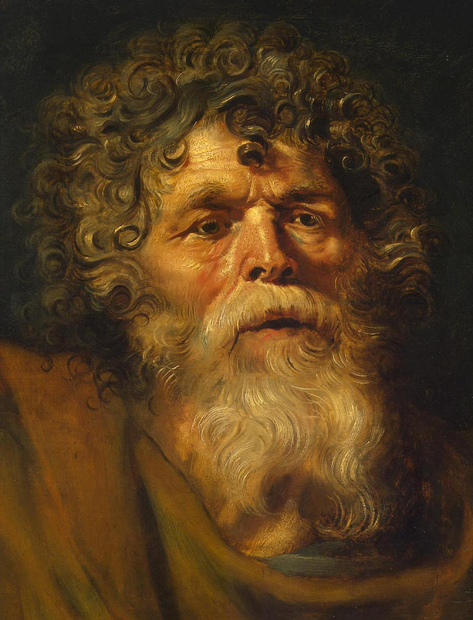 Peter Paul Rubens Painting - Head of an Old Man by Peter Paul Rubens