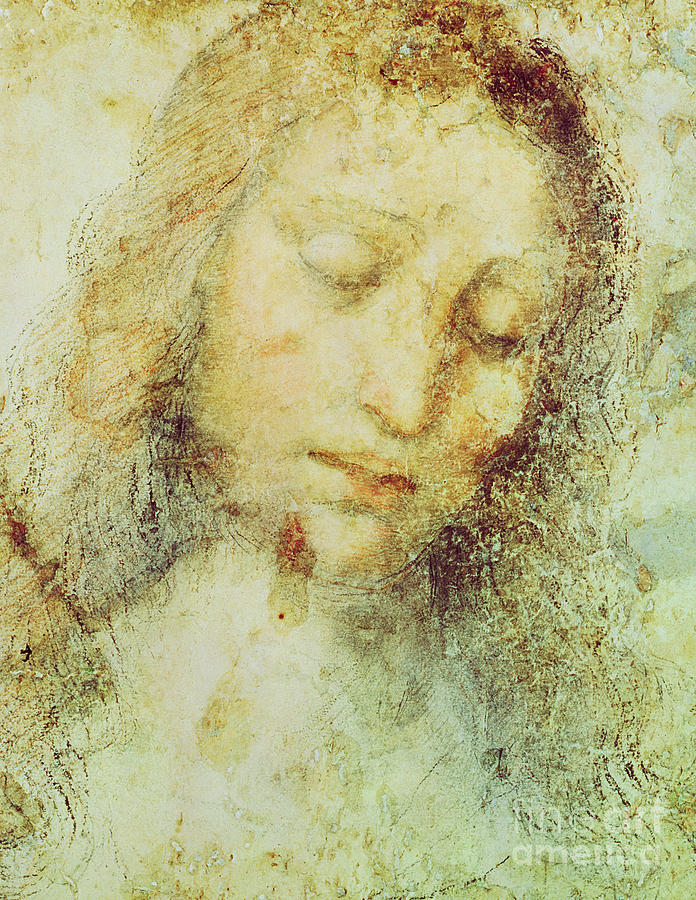 Leonardo Da Vinci Painting - Head of Christ by Leonardo Da Vinci by Leonardo Da Vinci