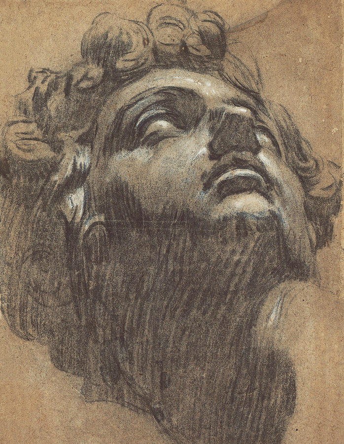 Head of Giuliano de Medici Drawing by Tintoretto