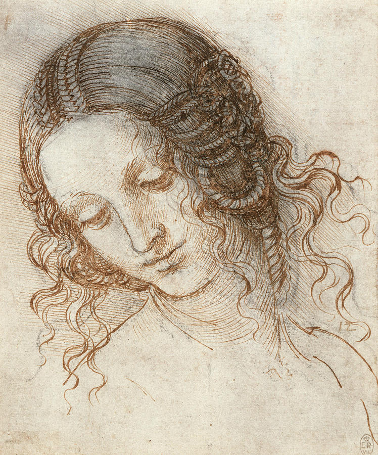 Head of Leda #7 Drawing by Leonardo da Vinci