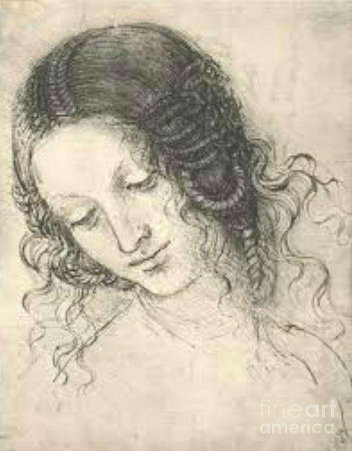 Leonardo Da Vinci Head Of Leda Sketch Drawing by Paper ...