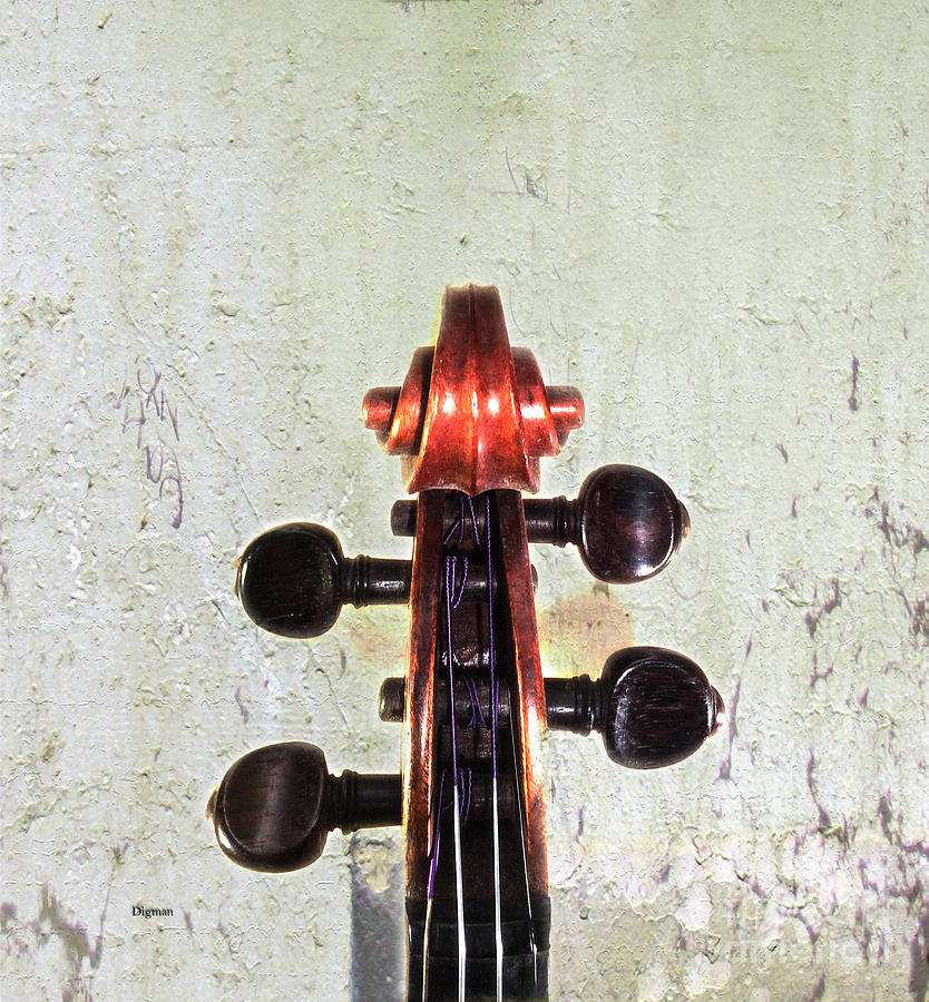 Violin Photograph - Head Shot  by Steven Digman