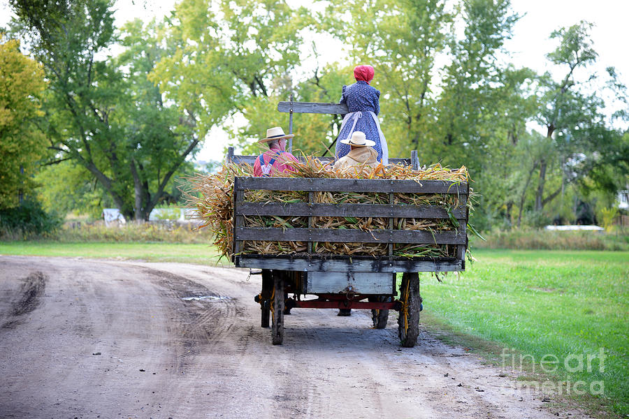 Headed Home after the Harvest 8604 Photograph by Ken DePue