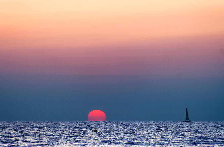 Beach Photograph - Heading for the sun by Antonio J Pizarro