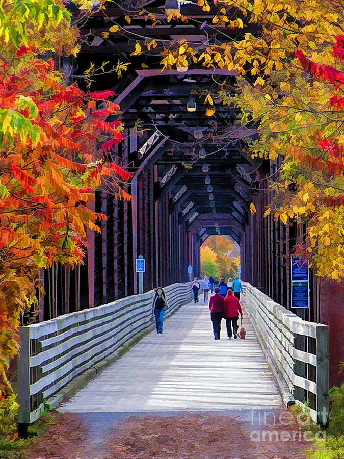 Autumn Stroll Photograph by Carol Randall