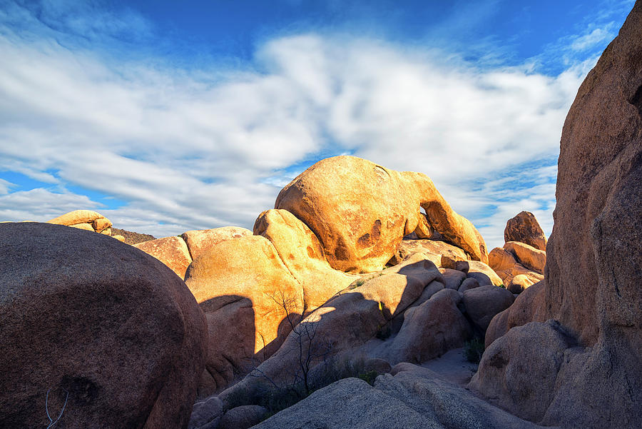 Heading To Arch Rock Joshua Tree National Park Photograph by Joseph S Giacalone