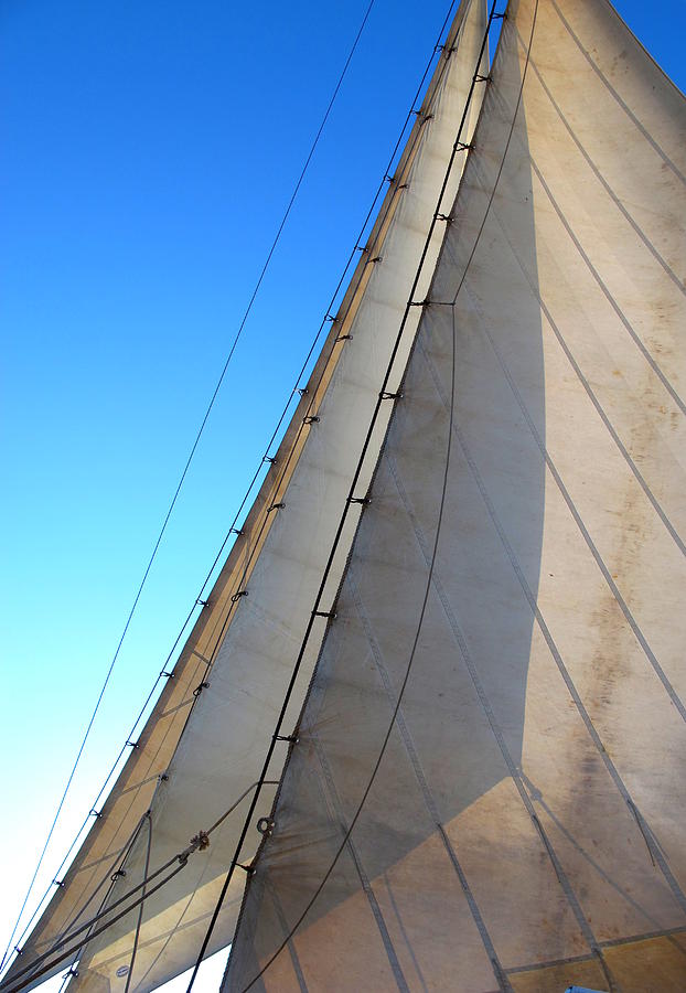 Sails Photograph - Headsails by Tom Wade-West