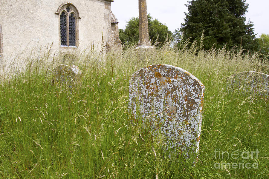 Headstone in Overgrown Church Yard Photograph by Karen Foley