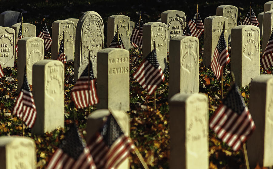Headstones And Flags Photograph