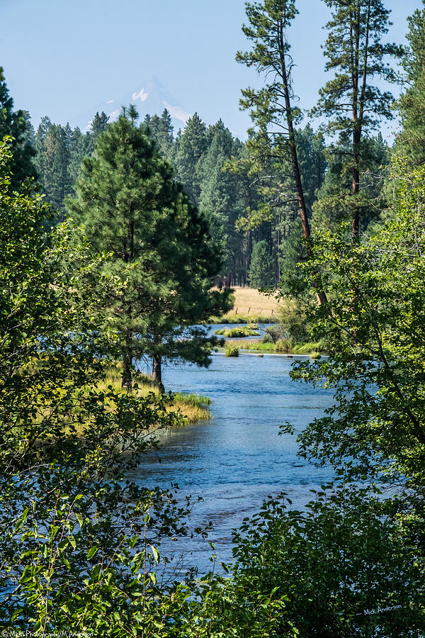 Headwaters of the Metolious Photograph by Mick Anderson