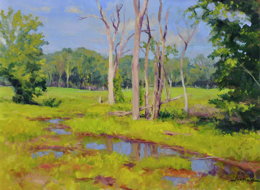 Headwaters Painting by Scott Harding | Fine Art America