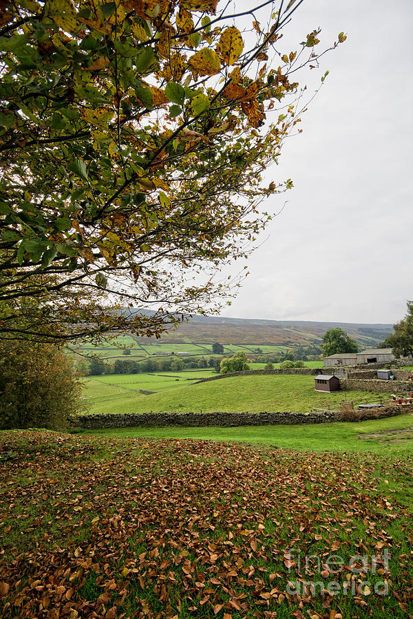 Healaugh, Swaledale Photograph by Smart Aviation - Fine Art America