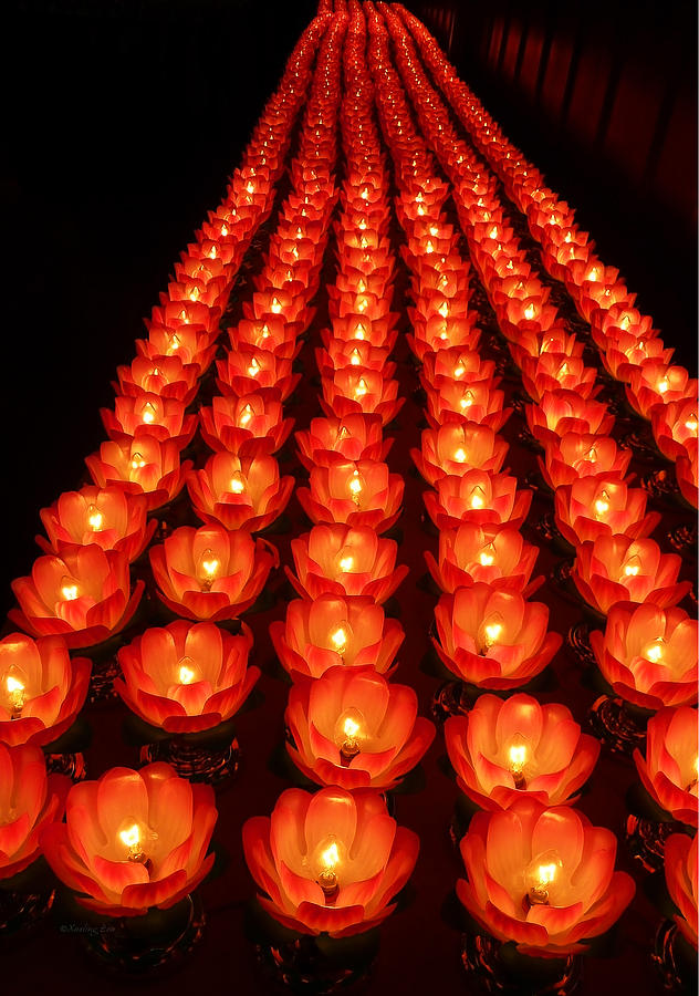 Healing Lights 1 Photograph by Xueling Zou
