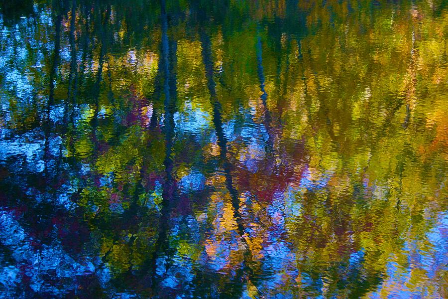 Healing Reflection Photograph by Polly Castor