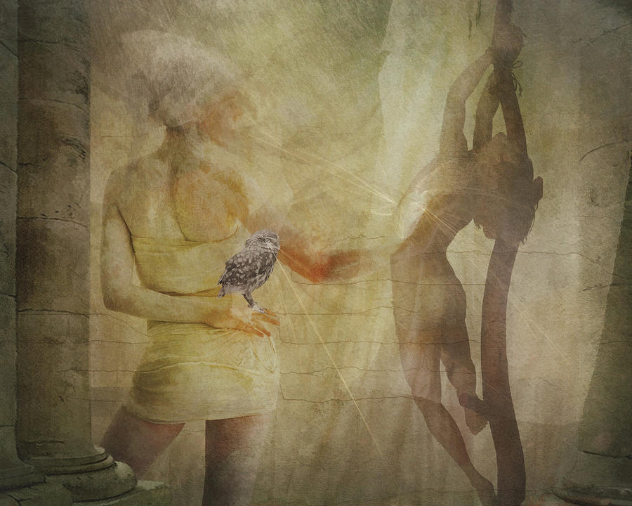 Healing Touch by Terry Fleckney Healing Touch by Terry Fleckney