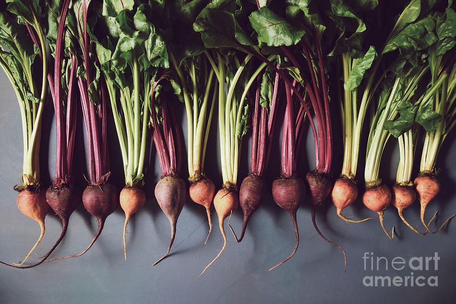 Vegetable Photograph - Healthy veggies. Beets by Ekaterina Molchanova