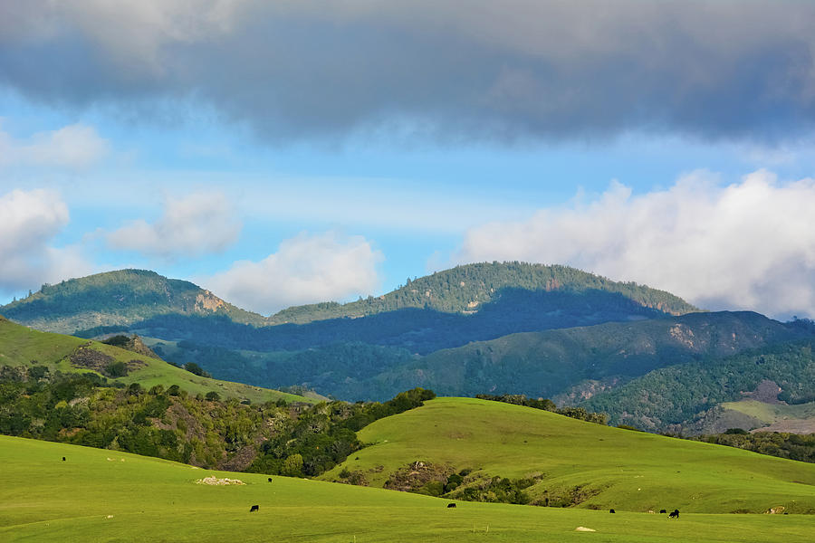 Hearst Castle Green Hills Photograph by Kyle Hanson