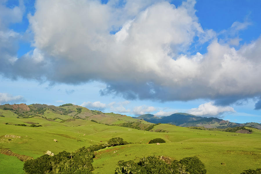 Hearst Castle Rolling Green Hills Photograph by Kyle Hanson