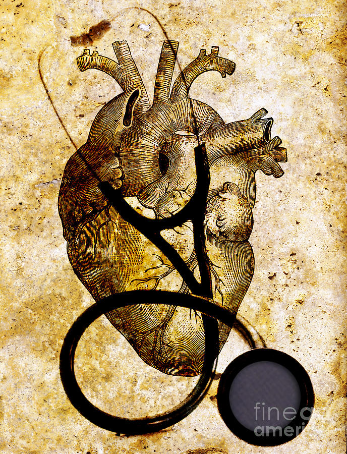 Heart & Stethoscope Illustration Photograph by George Mattei