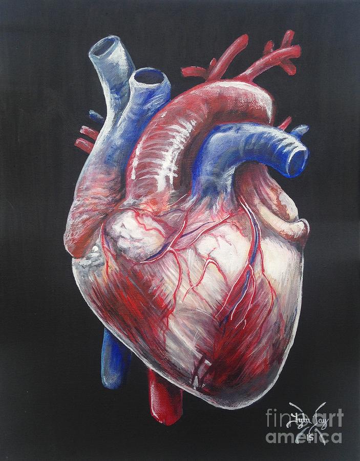 Human heart acrylic painting #acrylic #acrylic painting #anatomy  #humanheart #art