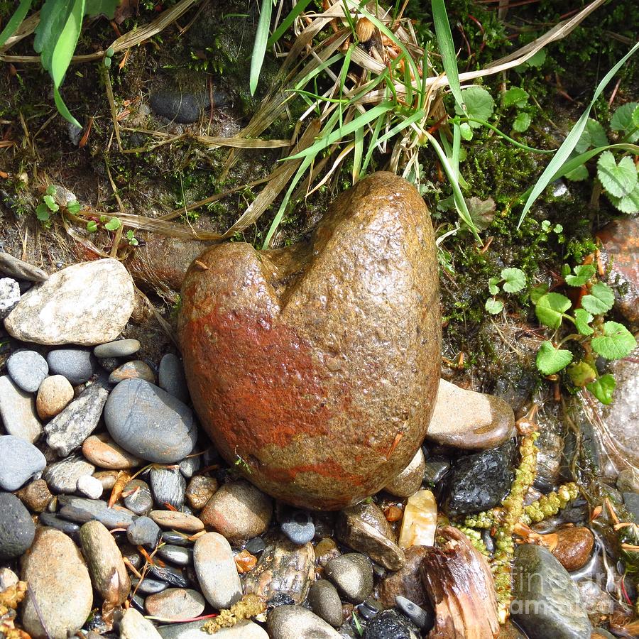 Heart among the River Stones Photograph by Anita Adams