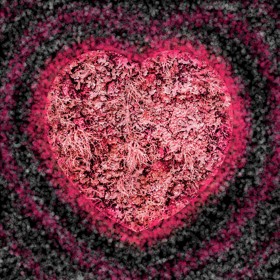 Heart Beat Digital Art by Hazy Apple