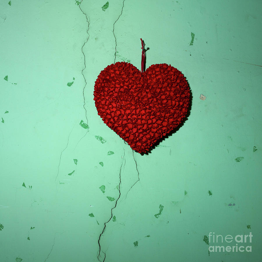 Flower Photograph - Heart by Bernard Jaubert
