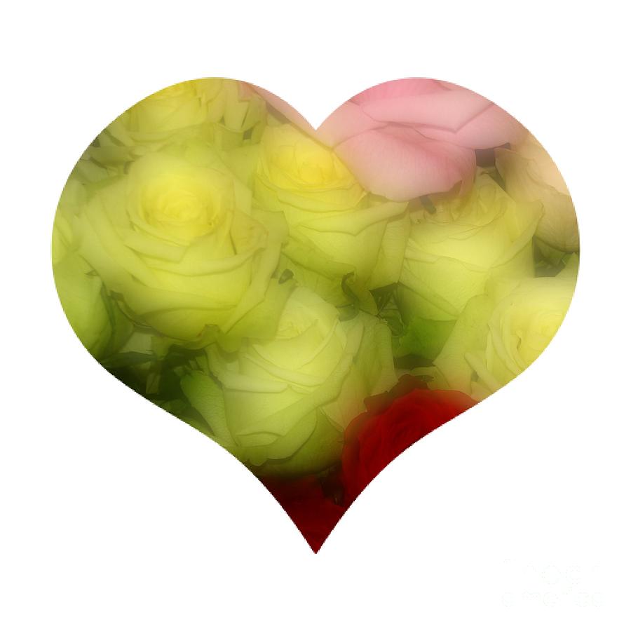 Heart Bouquet of Pink Yellow and Red Roses Photograph by Rose Santuci-Sofranko