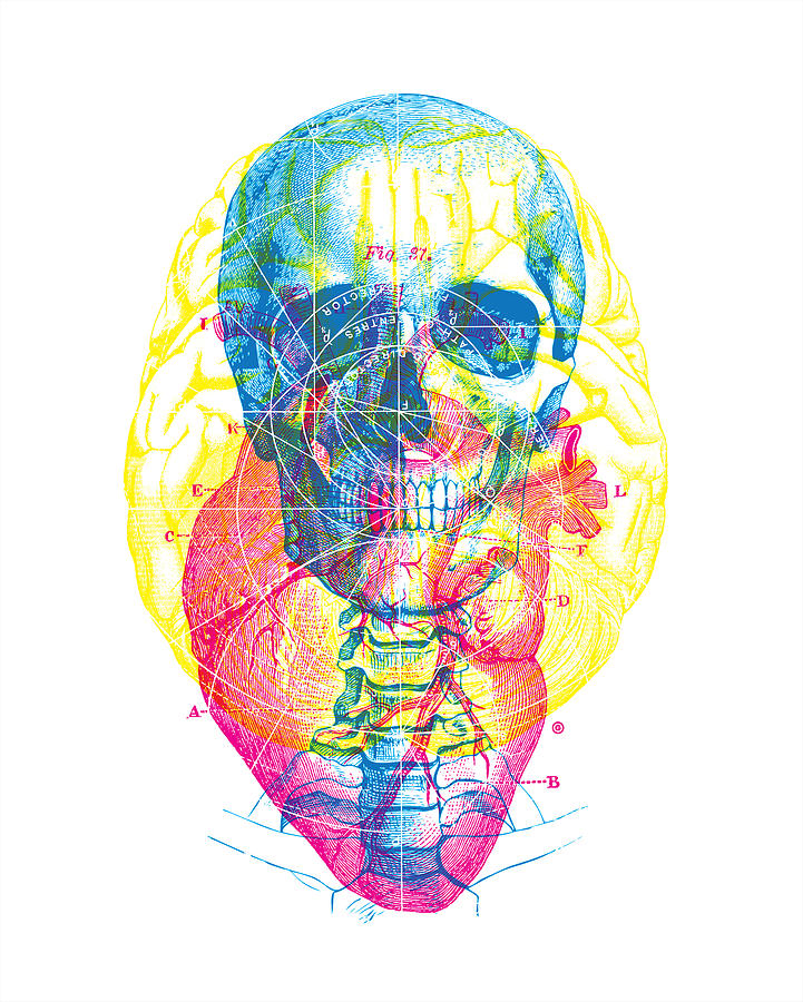 Heart Brain Skull Painting by Gary Grayson