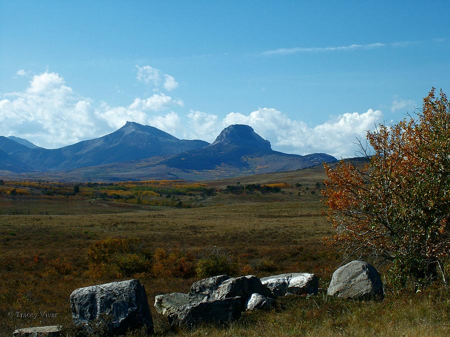 Heart Butte and Feather Woman Mountains, Fall Photograph by Tracey Vivar