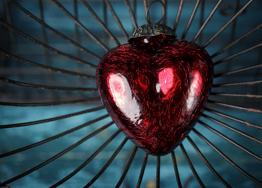 Heart Photograph - Heart in Cage by Nailia Schwarz
