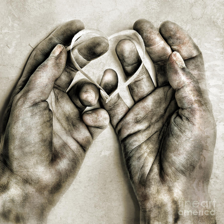 Hands Photograph - Heart In Hands by HD Connelly