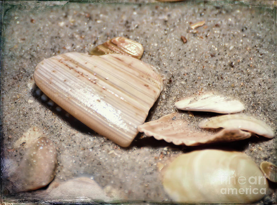 Summer Photograph - Heart In The Sand by Kerri Farley
