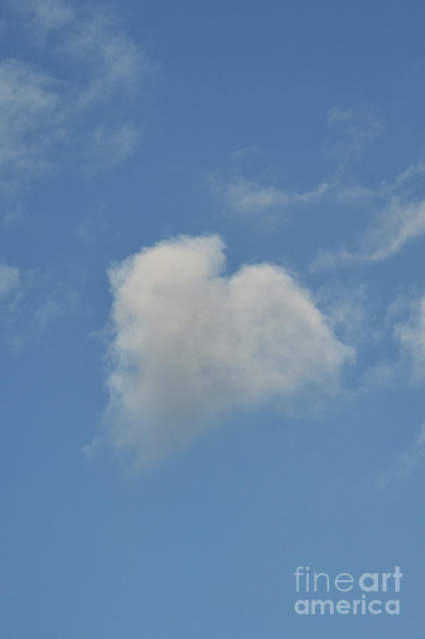 Nature Photograph - Heart In The Sky by Tim Gainey
