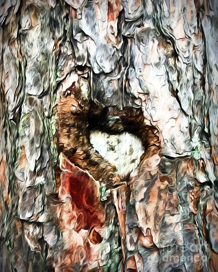 Heart In the Tree Photograph by Kerri Farley