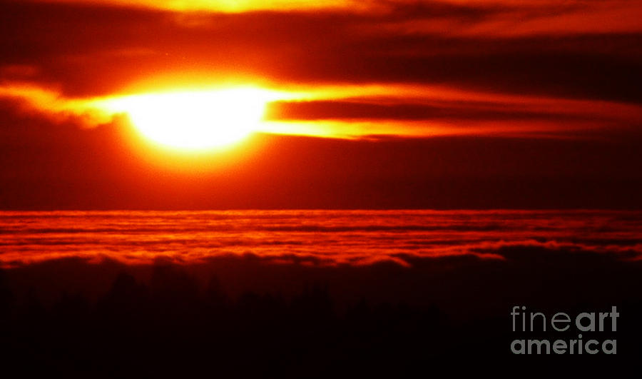 Sunset Photograph - Heart Light by JoAnn SkyWatcher