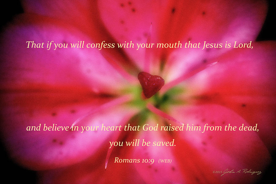 Heart of a Flower with Bible Verses Photograph by John A Rodriguez