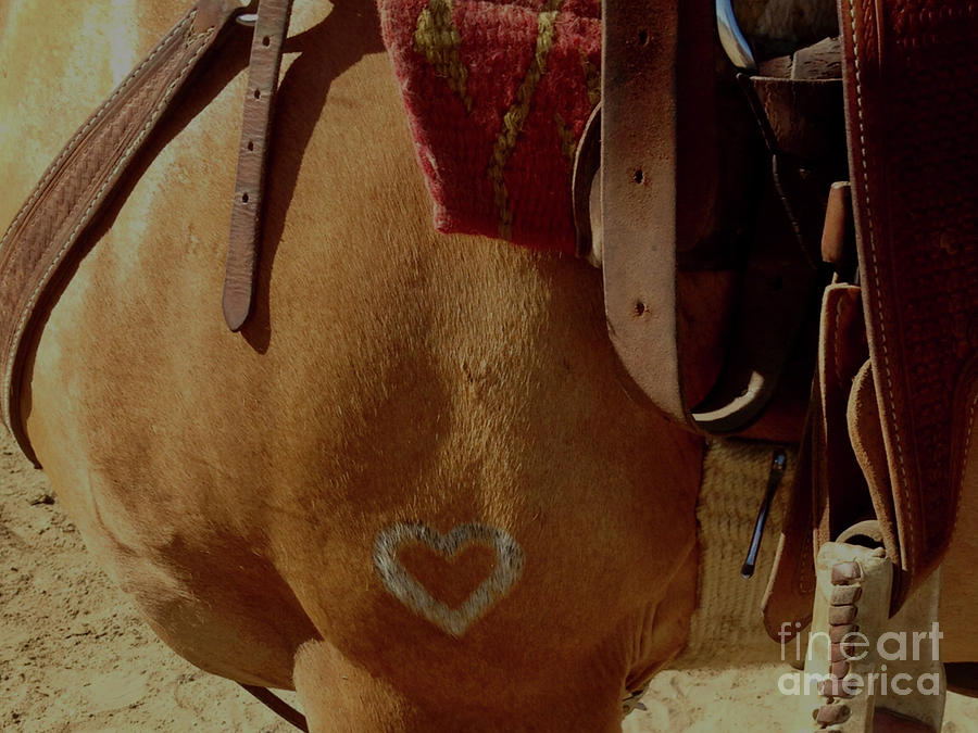 Heart Of A Horse Photograph by Susan Garren