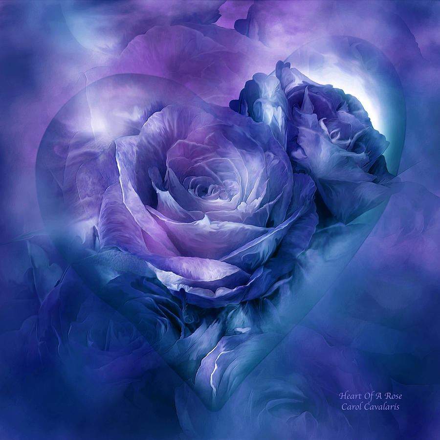Heart Of A Rose - Lavender Blue Mixed Media by Carol Cavalaris